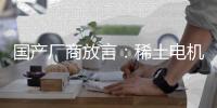 國產廠商放言：稀土電機仍是新能源最優解