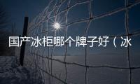 國(guó)產(chǎn)冰柜哪個(gè)牌子好（冰柜哪個(gè)牌子好）