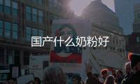 國產什么奶粉好