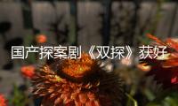 國產探案劇《雙探》獲好評,雙探指的是什么?