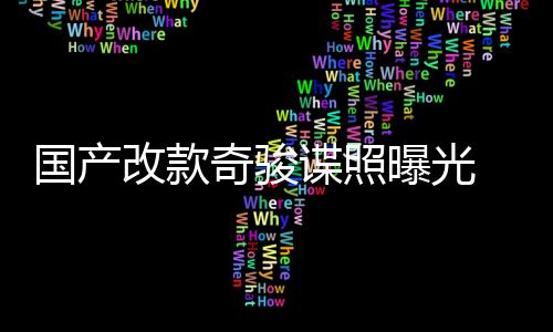 國產改款奇駿諜照曝光 或將于年底上市