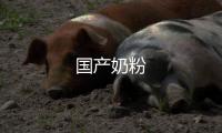 國(guó)產(chǎn)奶粉