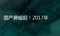 國產(chǎn)屏崛起！2017年或成面板行業(yè)競爭最激烈一年