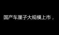 國產車厘子大規模上市，比進口價格低四成