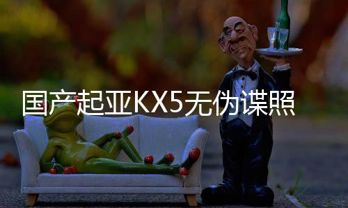 國產起亞KX5無偽諜照 2016年一季度上市