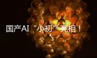 國產(chǎn)AI“小初”亮相！智力媲美人類可自動學習