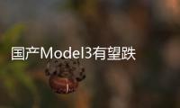 國產Model3有望跌破20萬？馬斯克親臨上海工廠