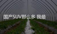 國產SUV那么多 我最期待的只有這兩臺