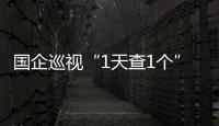 國企巡視“1天查1個”原因：收到大量舉報材料