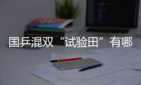 國乒混雙“試驗田”有哪些玩法？東京這1金想丟都難