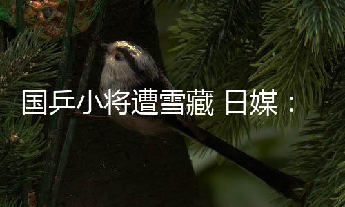國乒小將遭雪藏 日媒：這是她輸給外國人的懲罰