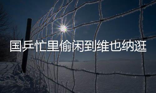 國乒忙里偷閑到維也納逛街 5日進駐鹿特丹最后備戰