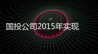 國投公司2015年實(shí)現(xiàn)利潤165億元 同比增14%
