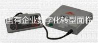 國有企業(yè)數(shù)字化轉(zhuǎn)型面臨六大難題——點亮智庫談數(shù)字化轉(zhuǎn)型之五