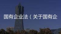 國有企業法（關于國有企業法的基本情況說明介紹）