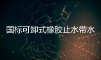 國標可卸式橡膠止水帶水壩用