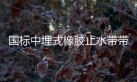 國標中埋式橡膠止水帶帶安裝位置