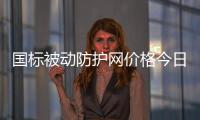 國標被動防護網價格今日行情,越琪絲網30年
