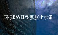 國標BWⅡ型膨脹止水條 帶注漿管橡膠止水條價格說明