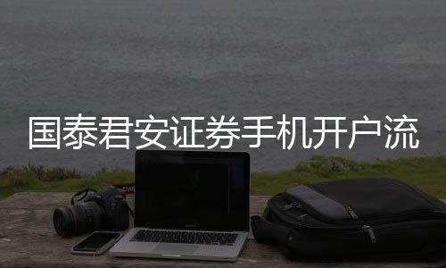 國泰君安證券手機開戶流程，國泰君安證券的賬戶怎么去開通
