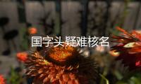 國字頭疑難核名