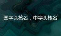 國字頭核名，中字頭核名，疑難核名，當天出