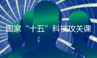 國家“十五”科技攻關課題成果 建筑一體化太陽能集熱技術工程示范