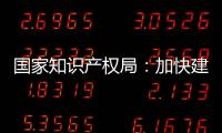 國家知識產(chǎn)權(quán)局：加快建設全國一體化知識產(chǎn)權(quán)數(shù)字公共服務平臺