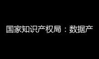 國家知識產權局：數據產權現階段以數據處理者為保護主體