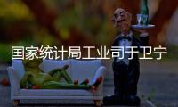 國(guó)家統(tǒng)計(jì)局工業(yè)司于衛(wèi)寧解讀工業(yè)企業(yè)利潤(rùn)數(shù)據(jù)