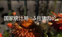 國家統計局：5月豬肉價格由上月同比上漲4.0%轉為下降3.2%