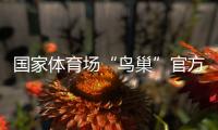 國家體育場“鳥巢”官方網站正式上線