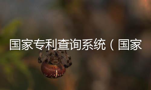 國家專利查詢系統(tǒng)（國家專利檢索）
