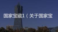 國家寶藏1（關于國家寶藏1的基本情況說明介紹）