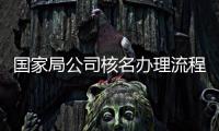 國家局公司核名辦理流程