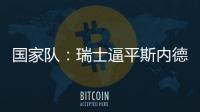 國家隊：瑞士逼平斯內德的荷蘭隊