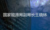國家能源局副局長王曉林涉嫌嚴重違紀被查