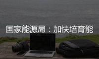 國家能源局：加快培育能源新業態新模式