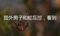 國外男子和蛇互懟，看到最后我終于放心了！