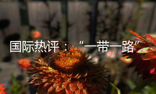 國際熱評：“一帶一路”倡議促進全球發展繁榮 多國政要點贊