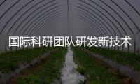 國際科研團隊研發新技術精準控制光纖光學電路，助推量子計算發展