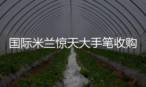 國際米蘭驚天大手筆收購歐洲新貴...