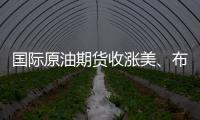 國際原油期貨收漲美、布兩油均漲超2%