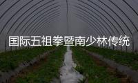 國際五祖拳暨南少林傳統(tǒng)武術大賽在泉州舉行