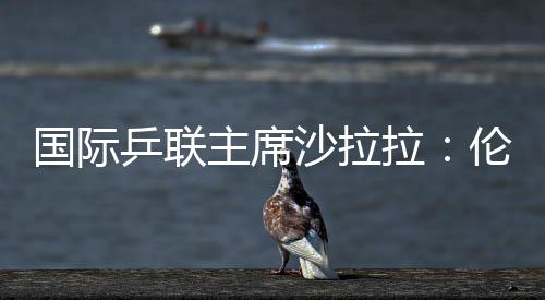 國際乒聯(lián)主席沙拉拉：倫敦奧運(yùn)乒乓賽制“變臉”