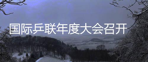 國際乒聯(lián)年度大會召開 中文入選乒聯(lián)官方語言