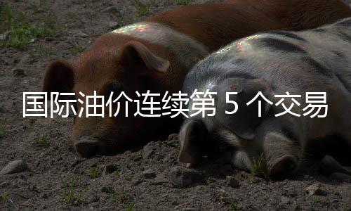 國際油價連續(xù)第５個交易日回落