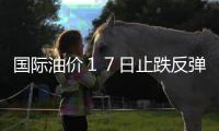 國(guó)際油價(jià)１７日止跌反彈