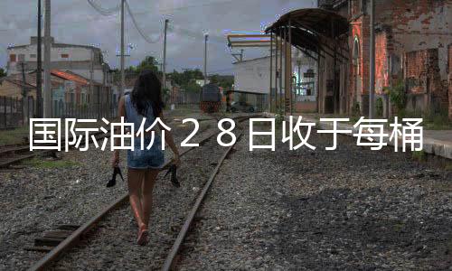 國際油價２８日收于每桶９２．８９美元 大幅反彈