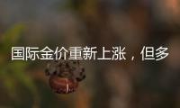 國際金價(jià)重新上漲，但多頭大舉建倉須等它出爐